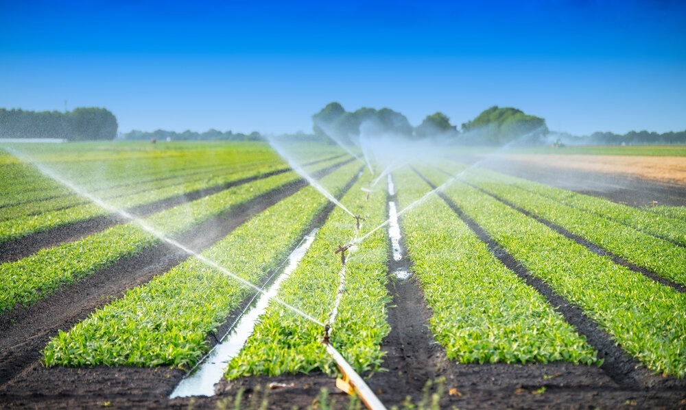 تنش آبی 7 Watering Crops