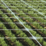 برنامه ریزی دقیق آبیاری مزارع و باغات