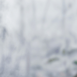 مدیریت سرما زدگی در باغات